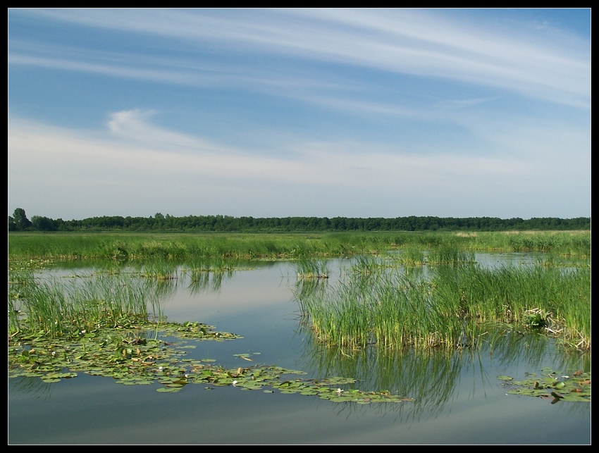Jezioro Drużno