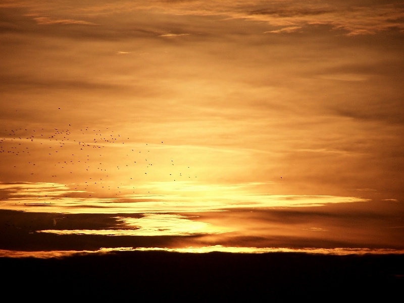 Już prawie wiosna :)