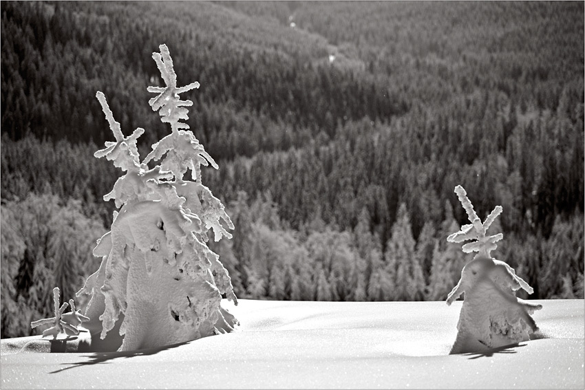 Zima w Beskidach .. ....