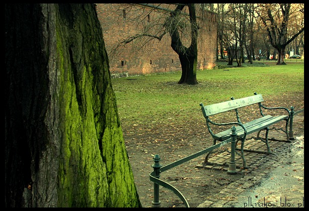 ławeczka. Planty.