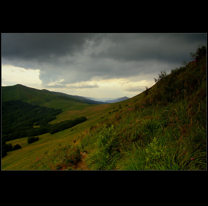 ŁAGODNE, GROŹNE BIESZCZADY