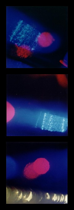 slide11