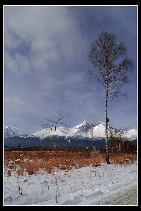 Widok