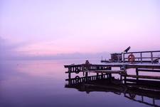 Rewa