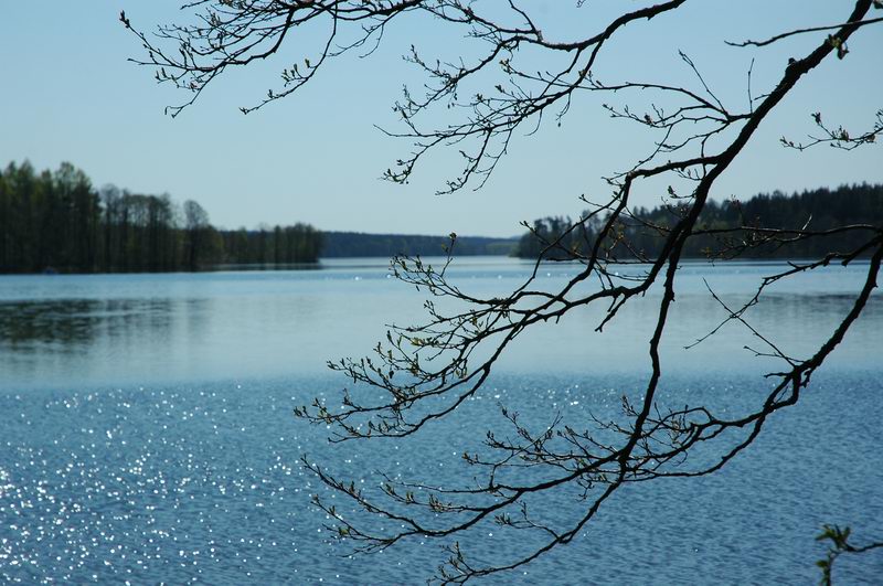 Wiosna nad jeziorem