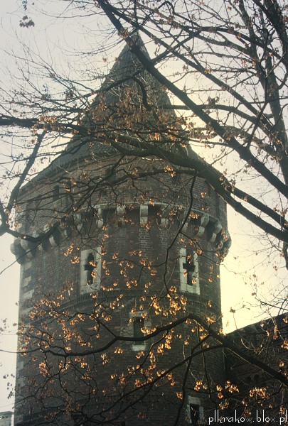 Czarowne Planty
