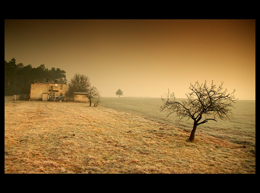 Zacisze miasta