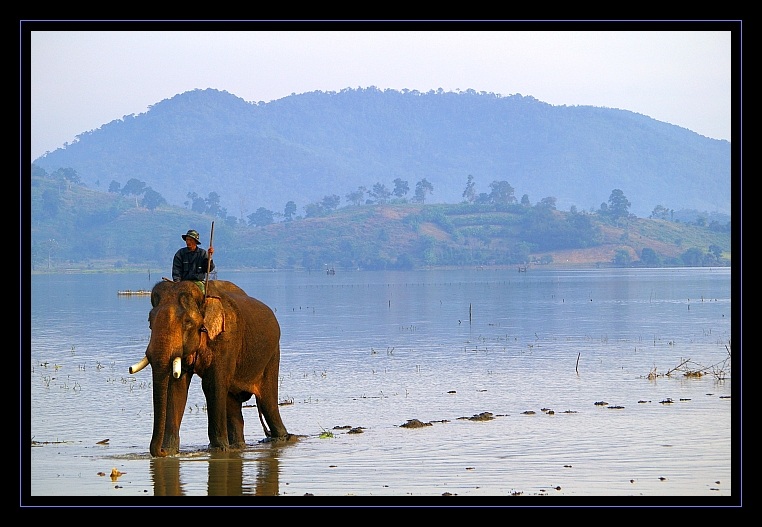 Daily elephant bath