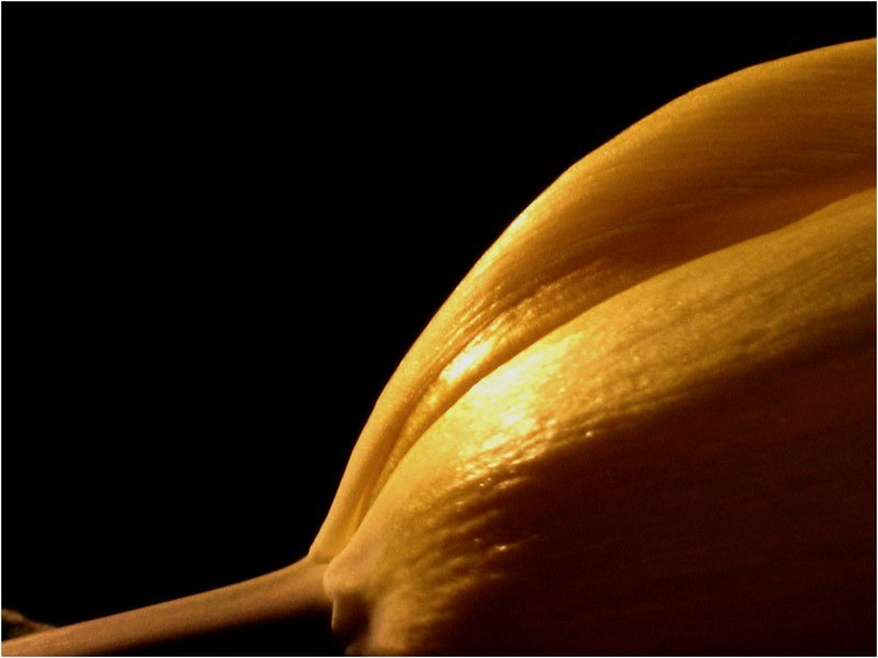 tuli-pan
