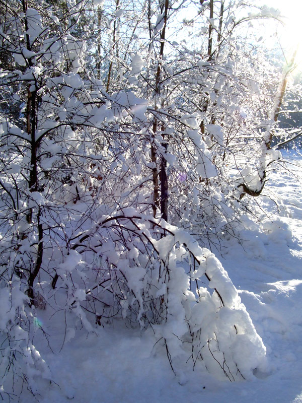 Zima na Warmii (4)