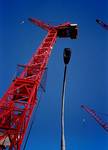 cranes & lantern