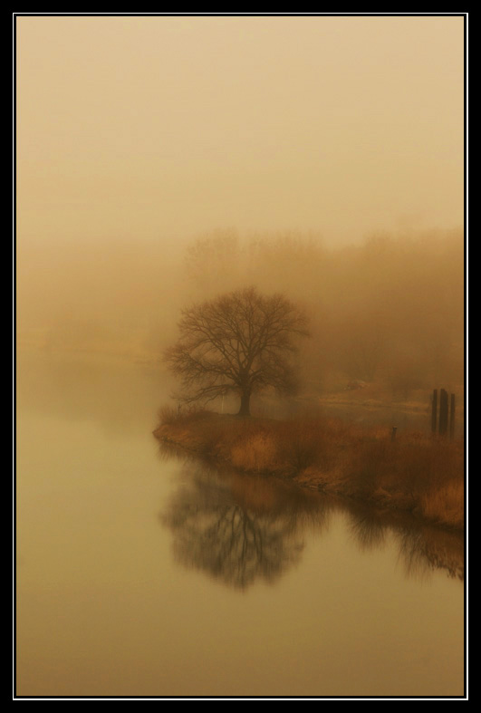 samotnośc we mgle...