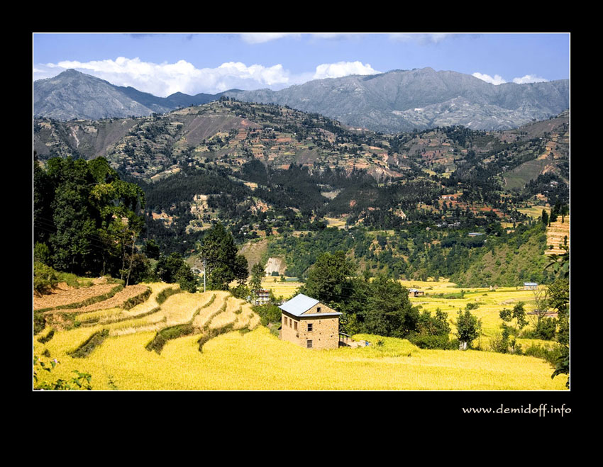 NEPAL