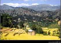 NEPAL