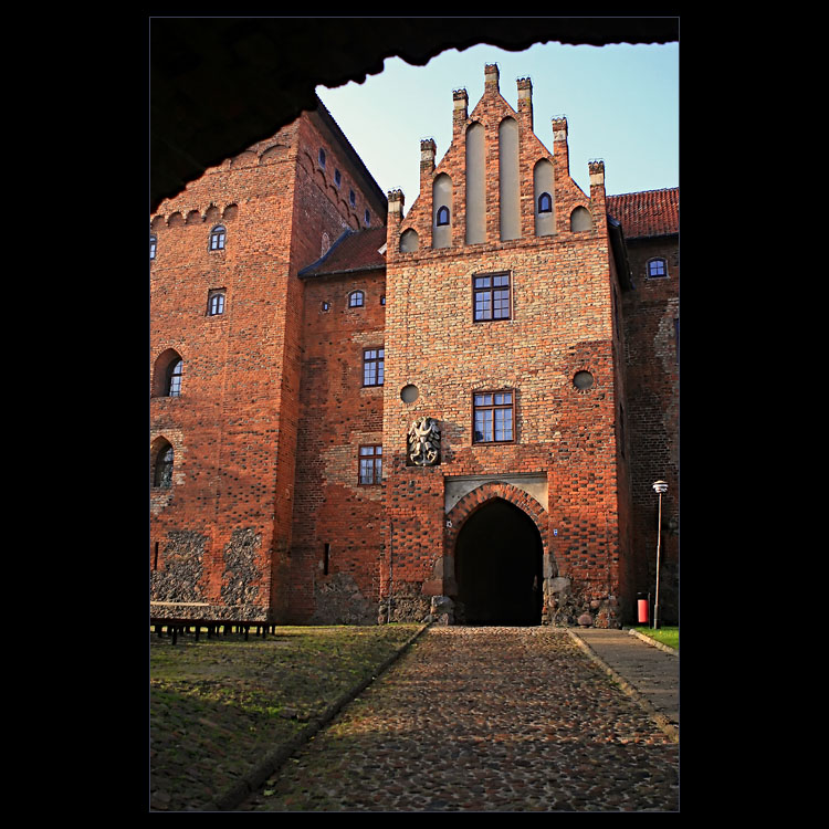 Zamek nad Nidą..