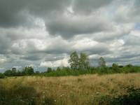 jesień