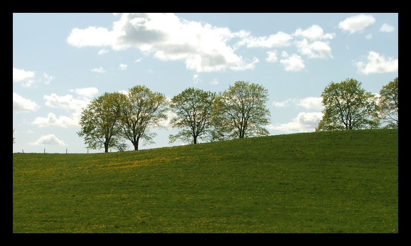 Mazury