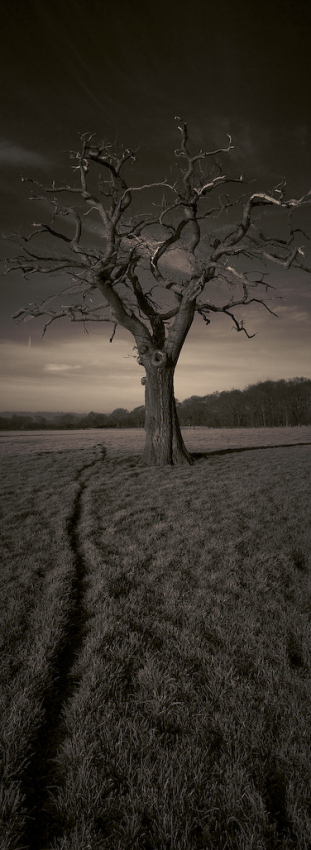 untitled 2