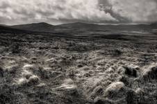 solitude