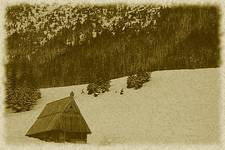 polana Kalatówki