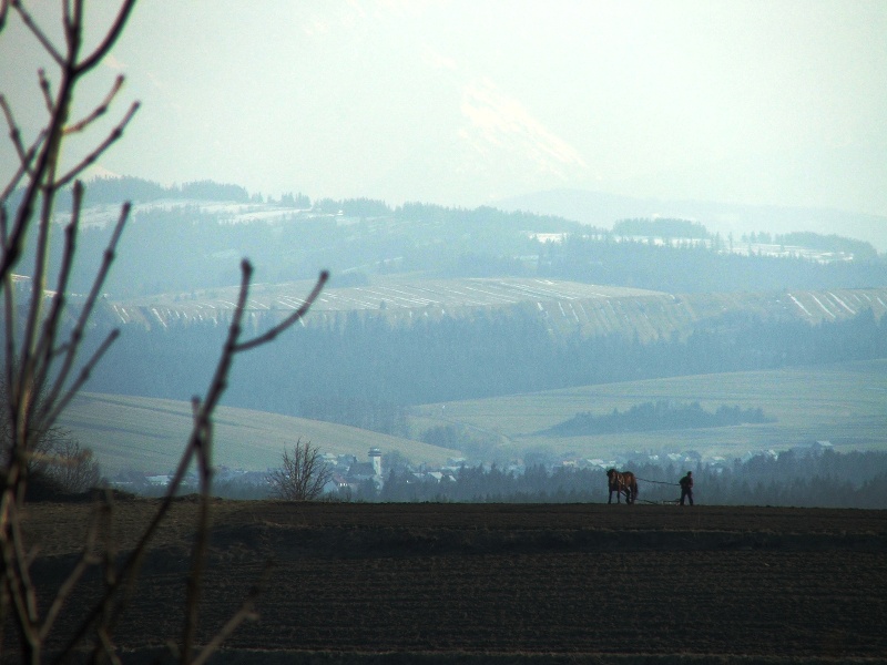 ponad doliną dunajca