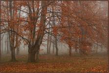 Dla tych co lubią jesień