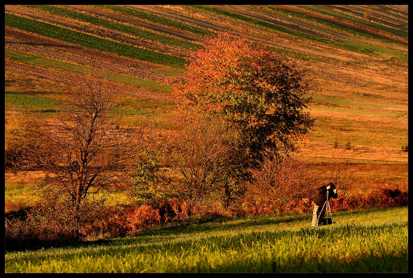 Bojkot
