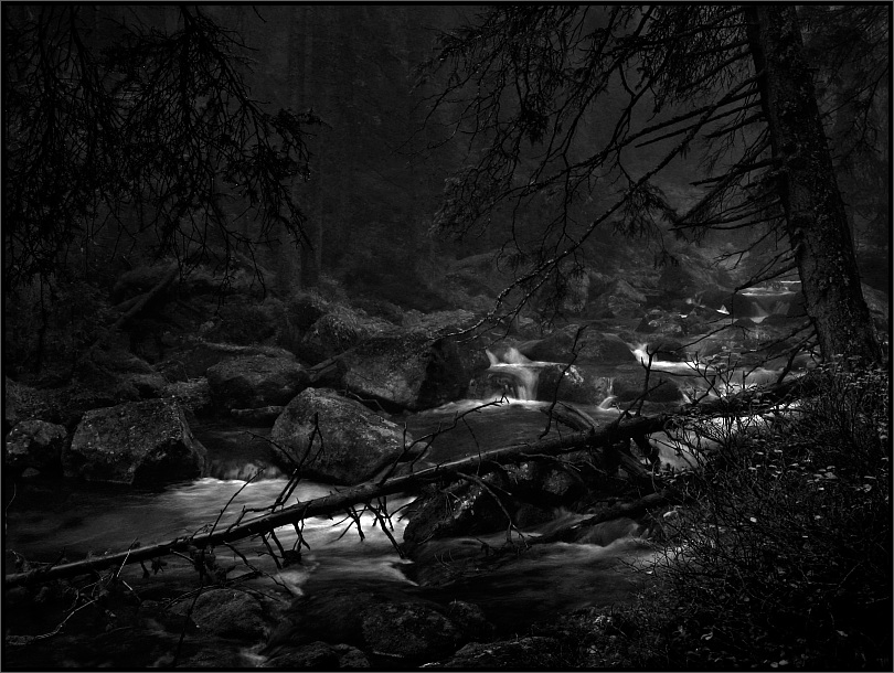 Dolina Rybiego Potoku... B&W