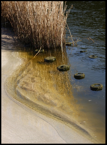 plaża