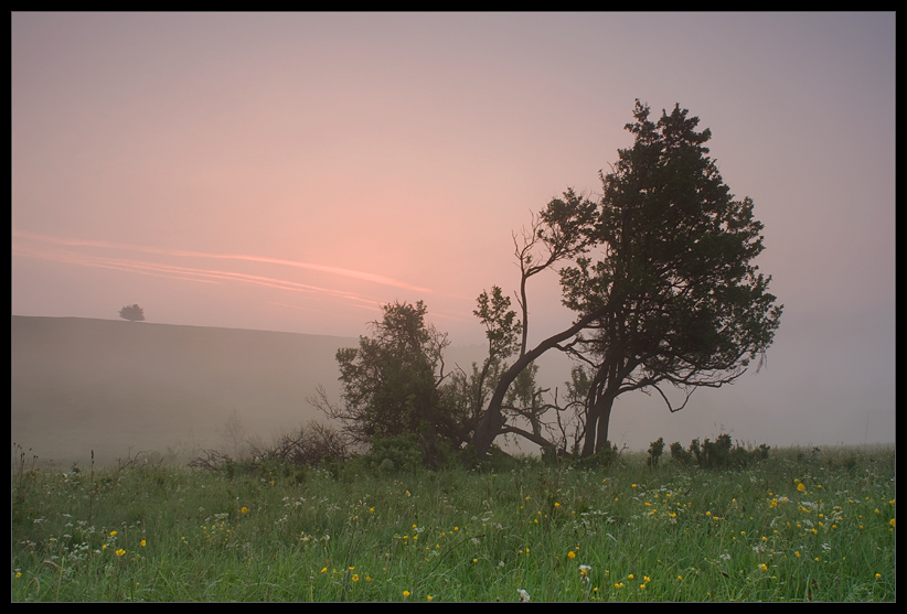 Beskid Niski. Poranek.
