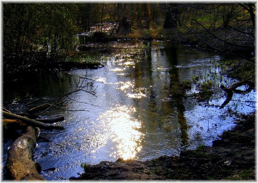 Strumień myśli