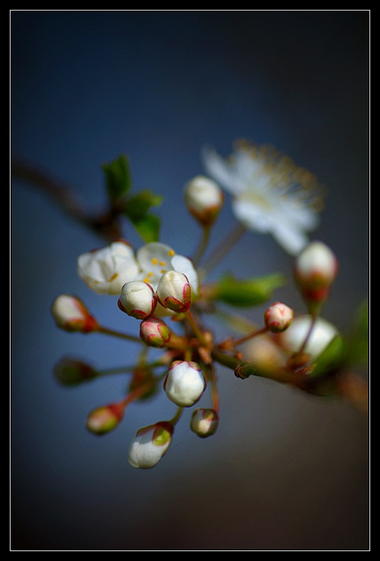 ...takie tam wiosenne...