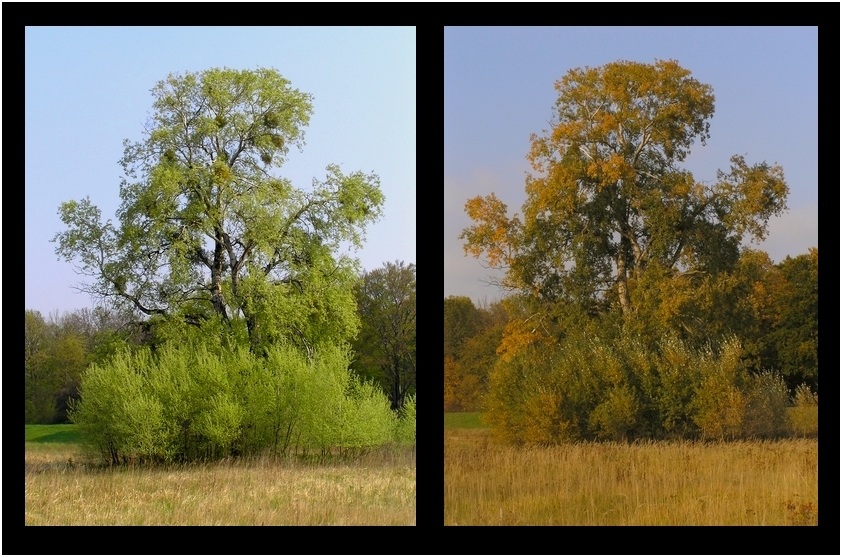 kwiecień - październik