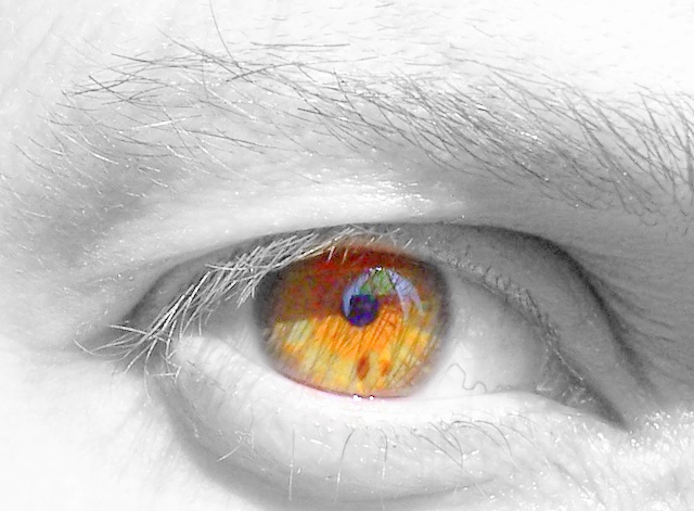 eye to eye