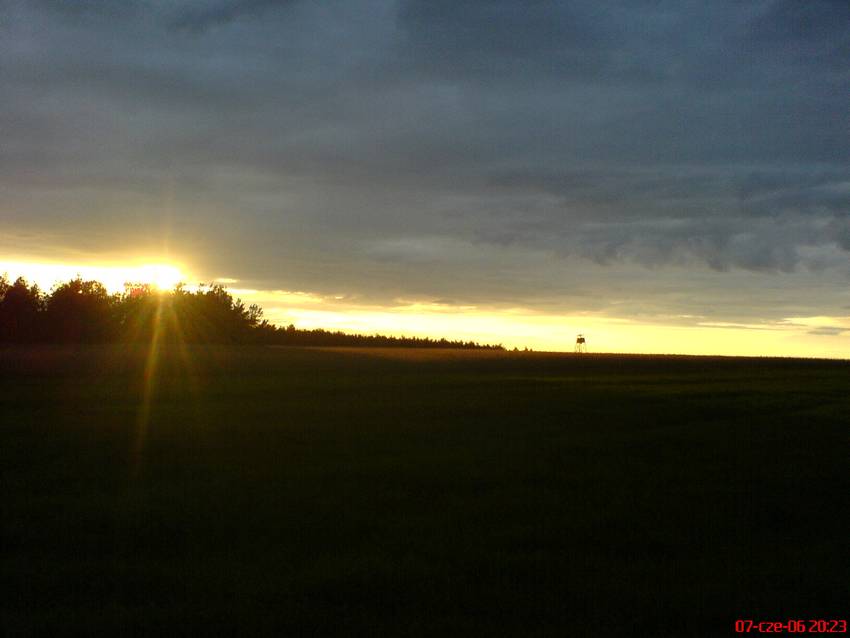 Słońce nad lasem