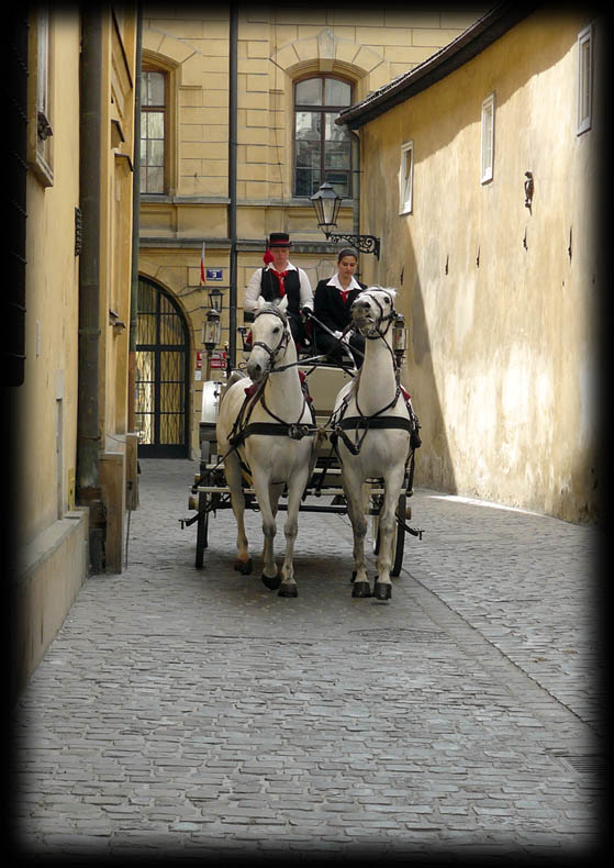 Kraków  2008