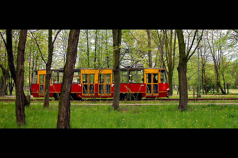 Warszawski Tramwaj Leśny