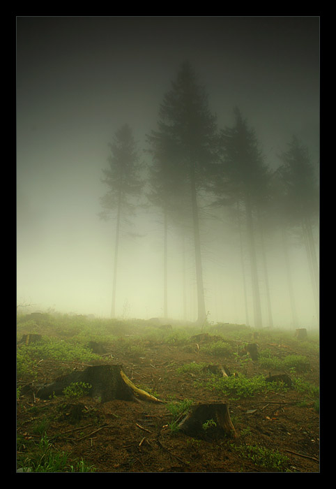 Beskidy * 02