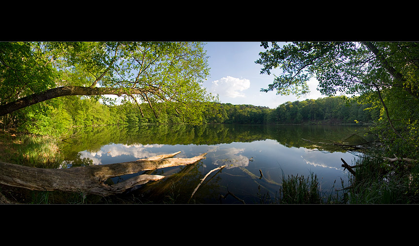 Wielkopolski Park Narodowy