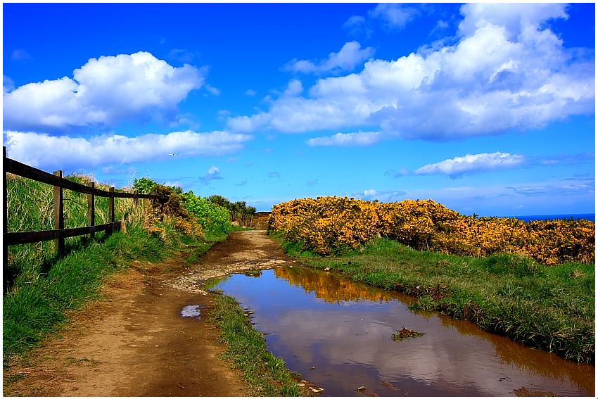Howth - walk down the cliff path