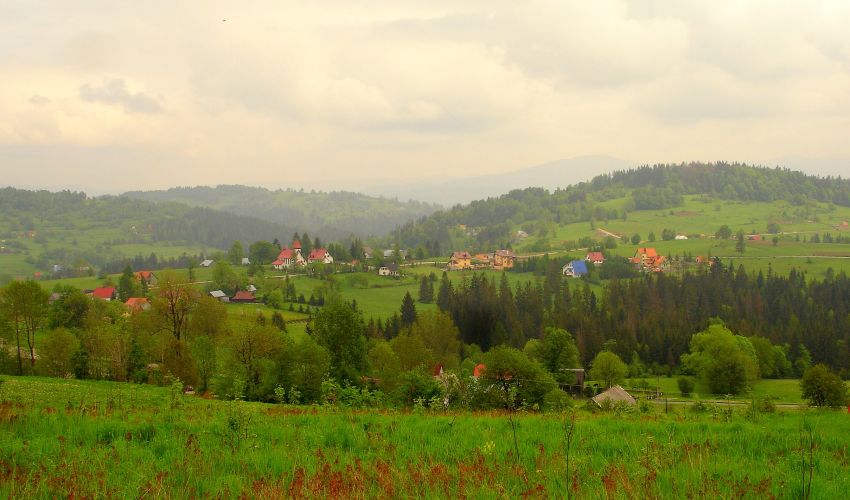 Laliki