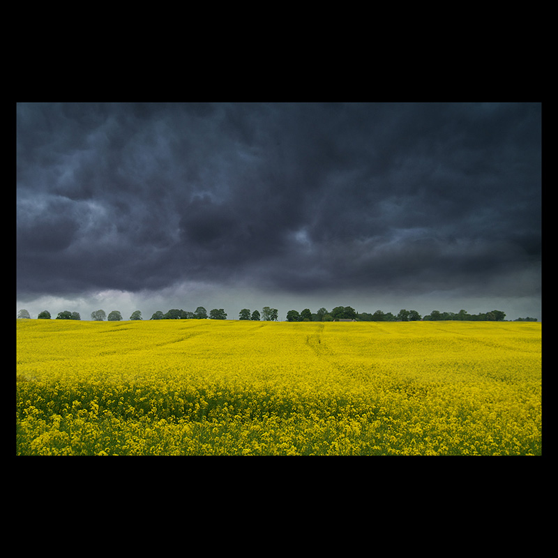 Yellow blue