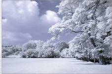 Springfield Park, London