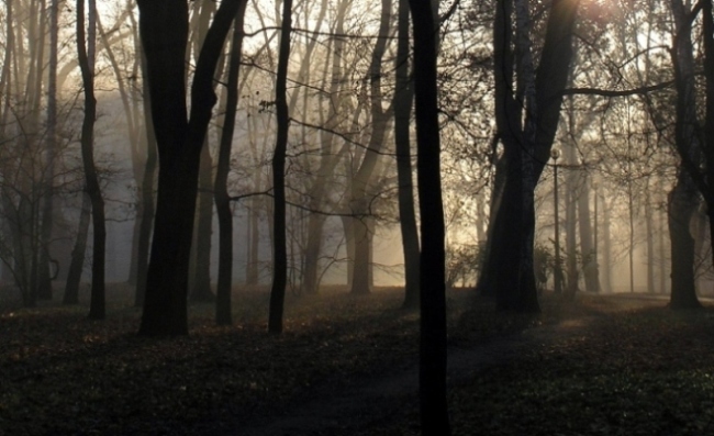 Poświata