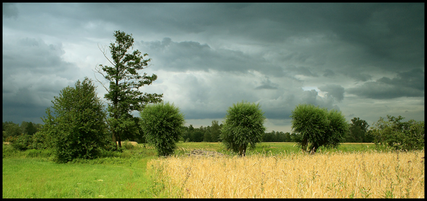 przed burzą