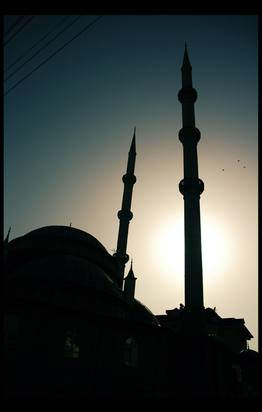 Turkish dream