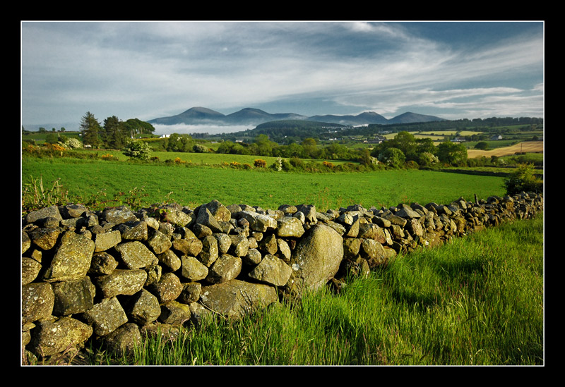 Co.Down
