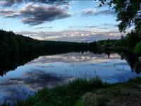 Tleń