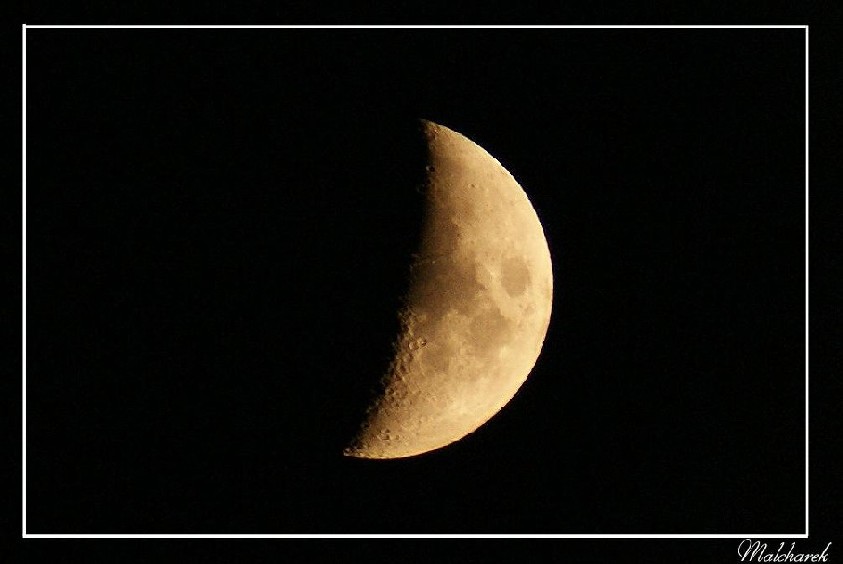 The moon