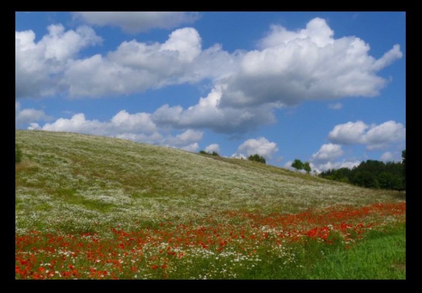 biało-czerwono